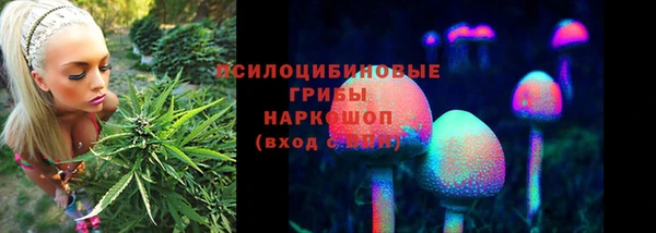 MDMA Богородск