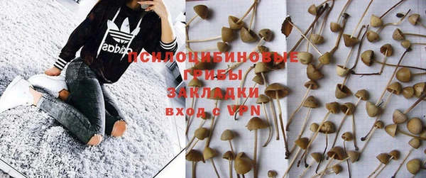 бутират Богородицк