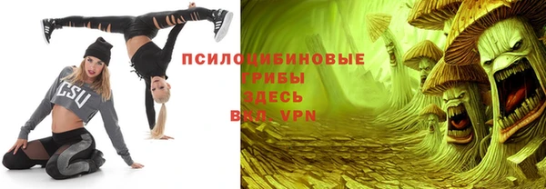 бутират Богородицк