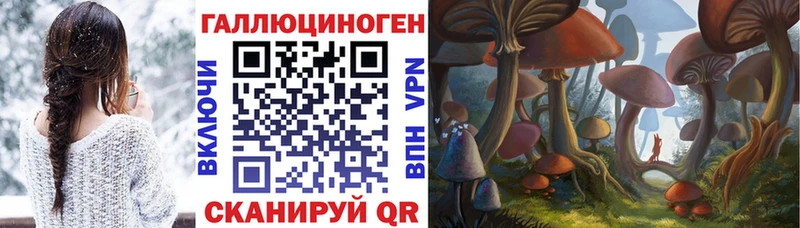Галлюциногенные грибы Magic Shrooms  Купино 